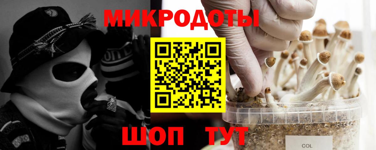 Чусовой  Псилоцибиновые грибы Magic Shrooms  Вход с VPN 